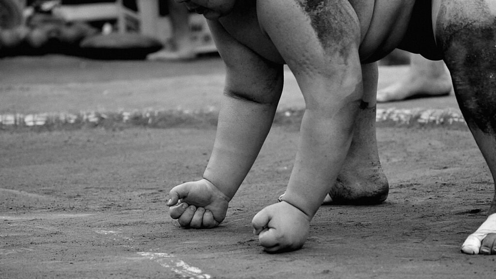 sumo img sumo 8510198 1920.jpg